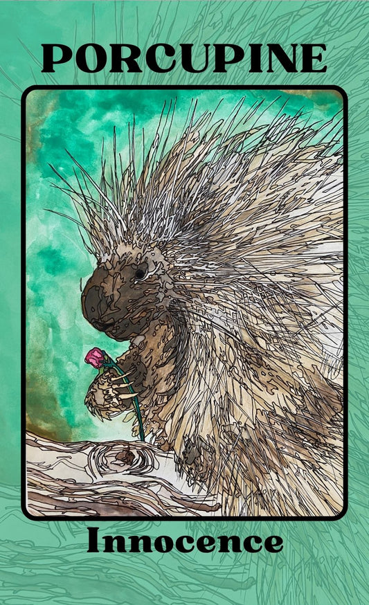 PORCUPINE Innocence