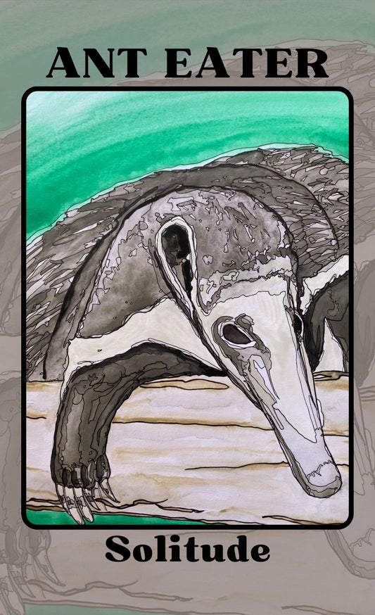 ANTEATER Solitude