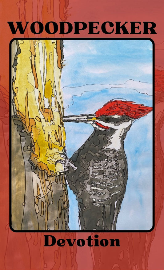 WOODPECKER Devotion